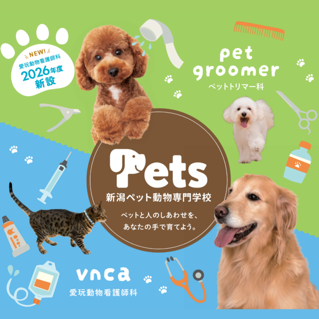 新潟ペット動物専門学校 | 資料請求・願書請求・学校案内【スタディ