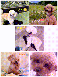 OCカメラサムネイル画像