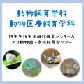 北海道エコ・動物自然専門学校 保全センター＆ エコ動物園・水族館見学ツアー