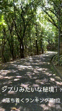 OCカメラサムネイル画像