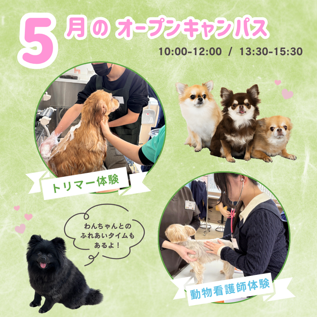 新潟ペット動物専門学校 【5月】わんちゃんといっしょオープンキャンパス1