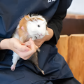 専門学校　福岡ビジョナリーアーツ 【看護】動物たちと看護・理学体験！