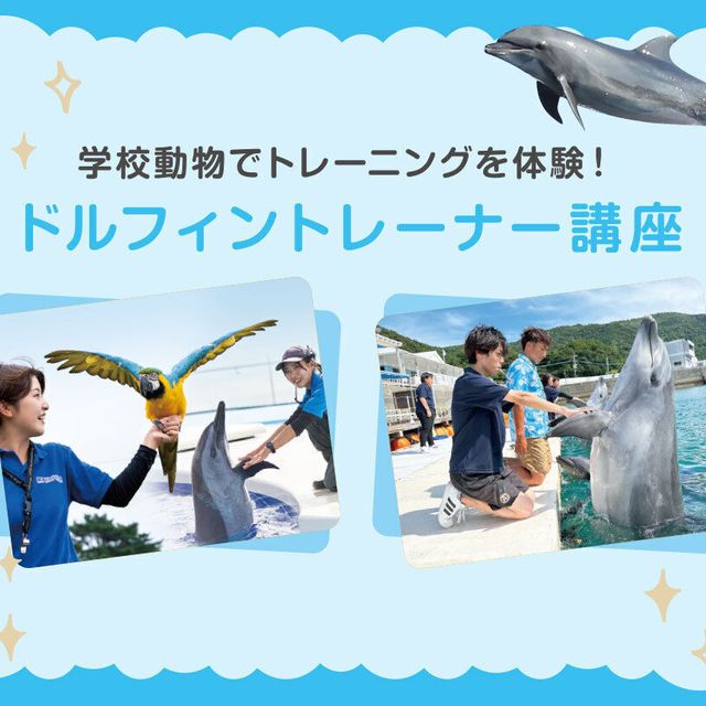 学校動物でトレーニングも体験 ドルフィントレーナー講座！／仙台ECO動物海洋専門学校のオープンキャンパス情報と予約申込【スタディサプリ 進路】