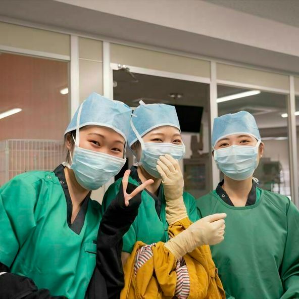 ｙｉｃ京都ペット総合専門学校 資料請求 願書請求 学校案内 スタディサプリ 進路