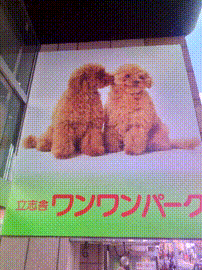 OCカメラサムネイル画像