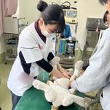 「スキ」を仕事にしよう！8月オープンキャンパスの詳細