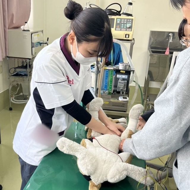 ＫＢＣペットワールド専門学校 「スキ」を仕事にしよう！8月オープンキャンパス1