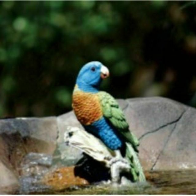 野生動物 自然環境保護体験 ｔｃａ東京ｅｃｏ動物海洋専門学校のオープンキャンパス情報と予約申込 スタディサプリ 進路