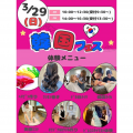 東京ビューティー＆ブライダル専門学校 【全学年対象】韓国好きにたまらない☆韓国フェス☆