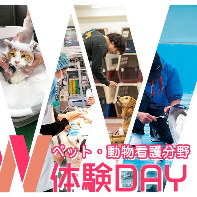 ＴＣＡ東京ＥＣＯ動物海洋専門学校 ペット・動物看護分野W体験DAY！1