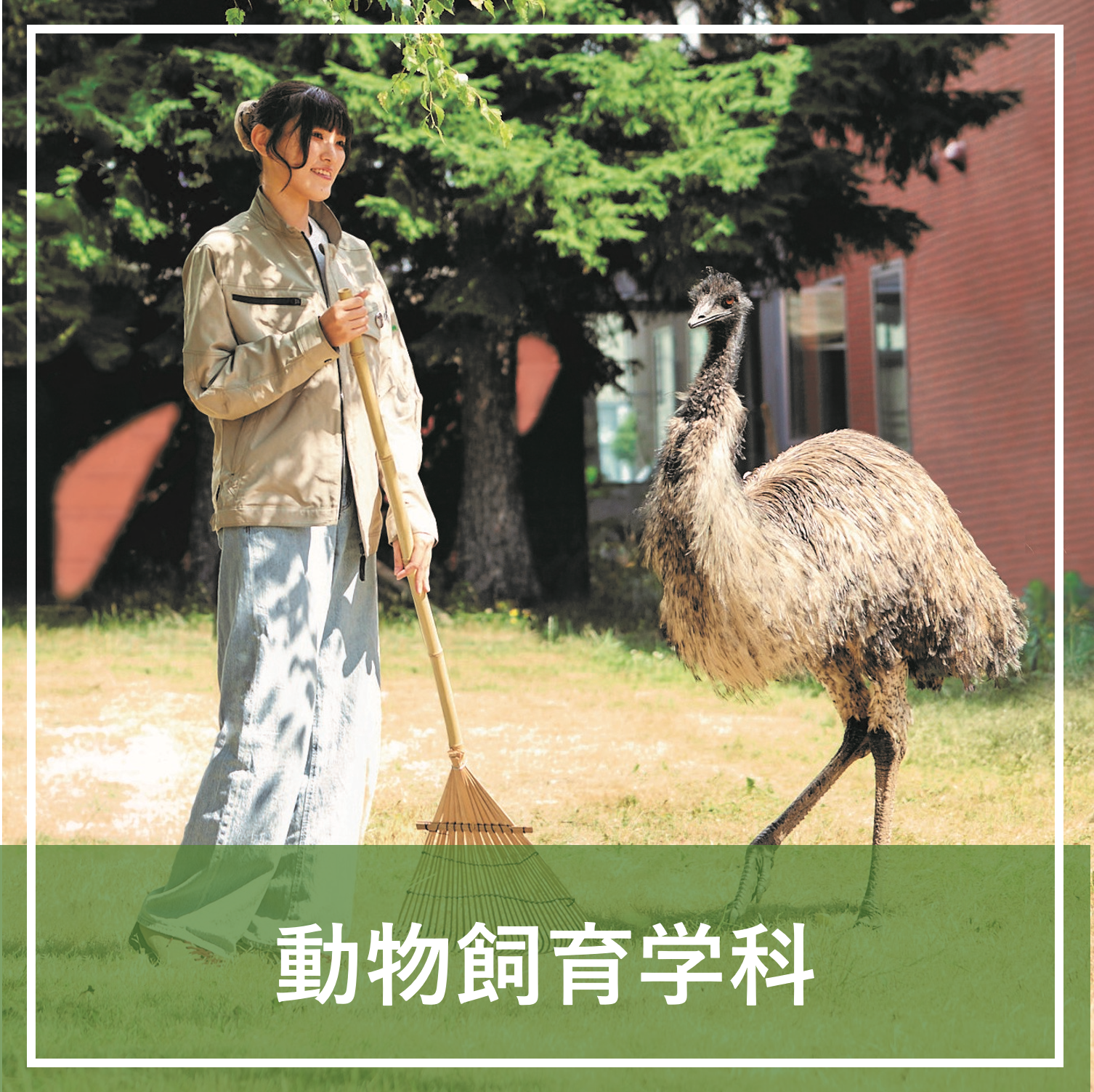 北海道 エコ 動物 自然 専門 学校