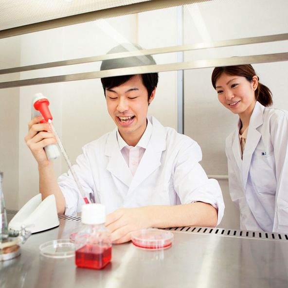 大阪ハイテクノロジー専門学校 資料請求 願書請求 学校案内 スタディサプリ 進路