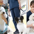 専門学校　福岡ビジョナリーアーツ 【ペット・看護】3専攻よくばり体験【ワンコ】