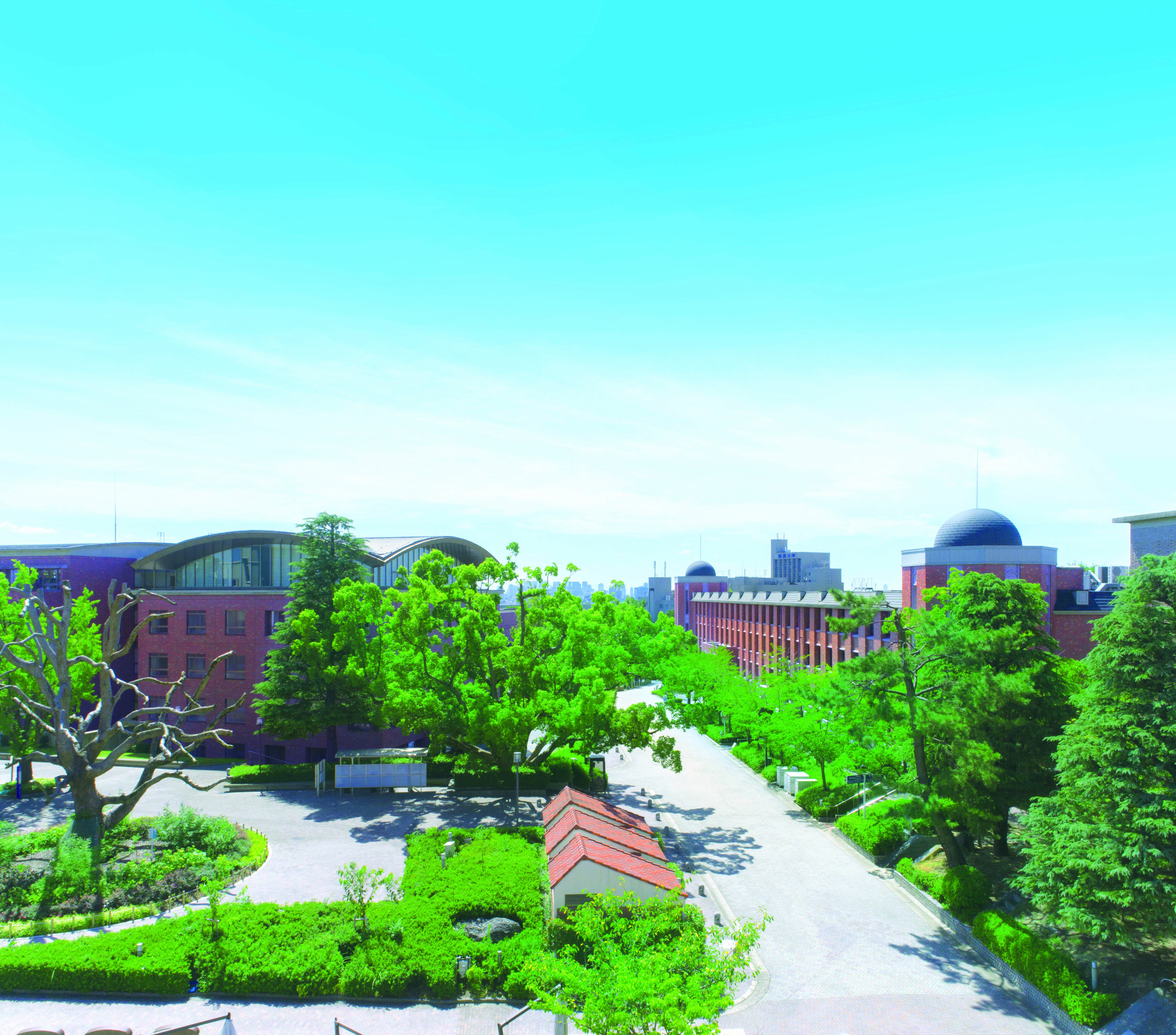 関西大学 | 資料請求・願書請求・偏差値情報【スタディサプリ 進路】