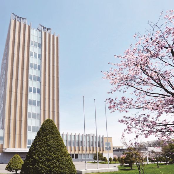 北海道文教大学 資料請求 願書請求 学校案内 スタディサプリ 進路