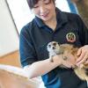 専門学校ビジョナリーアーツ 動物園飼育員体験