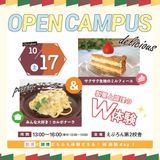 製菓体験：ミルフィーユ　調理体験：カルボナーラの詳細