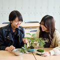 修成建設専門学校 デスクに触れる小さな自然。ミニ盆栽づくり