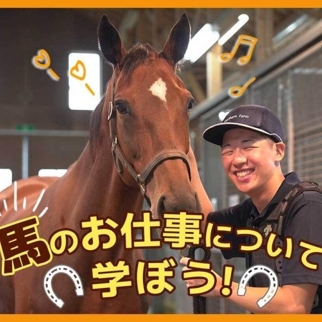 ＴＣＡ東京ＥＣＯ動物海洋専門学校 馬のお仕事について学ぼう！1