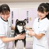 国際ペット総合専門学校 動物看護師学科　動物の血液検査に挑戦　臨床検査体験