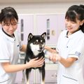 国際ペット総合専門学校 動物看護師学科　動物の血液検査に挑戦　臨床検査体験