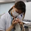 国際ペット総合専門学校 体験授業【動物看護師学科・ＴBC学院宇都宮ペット校】