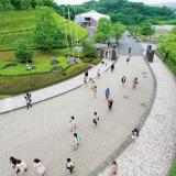 詳細を見る