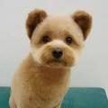 専門学校ビジョナリーアーツ カット体験 わんちゃんをまんまるく可愛くカットしよう！
