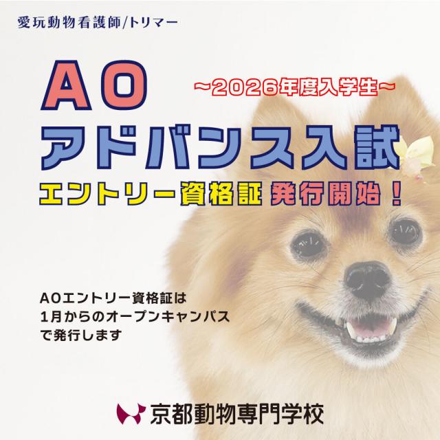 京都動物専門学校 【高3以上対象】土曜日のグルーミング学科入学相談会!1