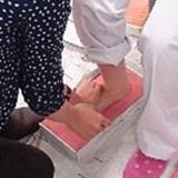 詳細を見る