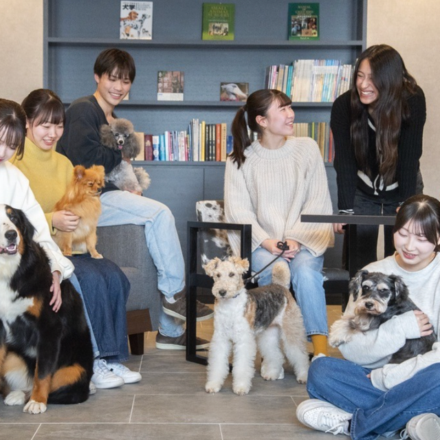 群馬動物専門学校 動物看護・トリマー・ホリスティック！3つのコースぜんぶ体験！1