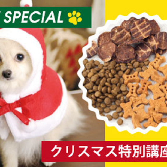 大阪ビジネスカレッジ専門学校 わんちゃんのおやつ作り~クリスマス編~1