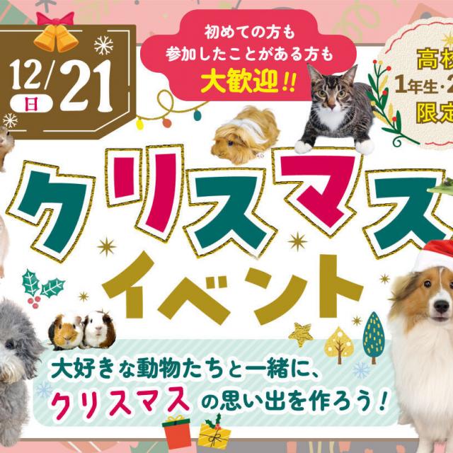 名古屋ＥＣＯ動物海洋専門学校 ☆★【高校１・２年生限定】クリスマスイベント★☆1