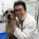 第9回　動物業界で働くということ！　の詳細
