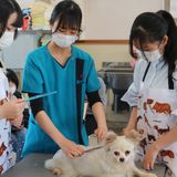 【AOエントリー資格証配布♪】トータルトリミング体験の詳細