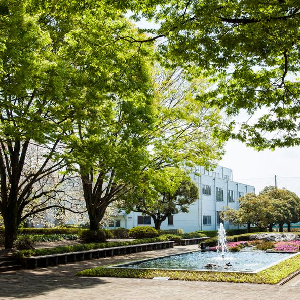 足利大学 資料請求 願書請求 学校案内 スタディサプリ 進路