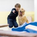 専門学校ビジョナリーアーツ 災害救助犬トレーニング体験