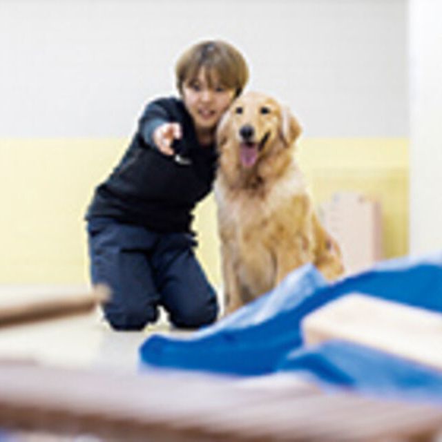 専門学校ビジョナリーアーツ 災害救助犬トレーニング体験1