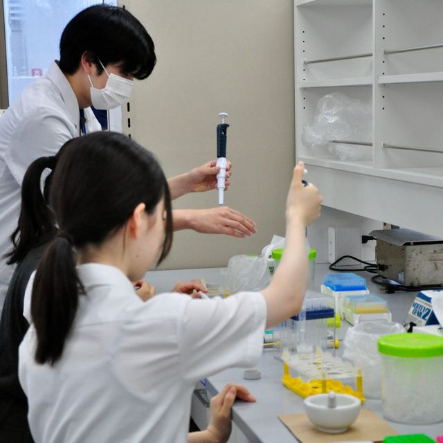 久留米大学 オープンキャンパス2026（医学部医療検査学科）4