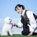 高崎動物専門学校 【ドッグトレーナー】パートナー犬とターゲットタッチに挑戦！