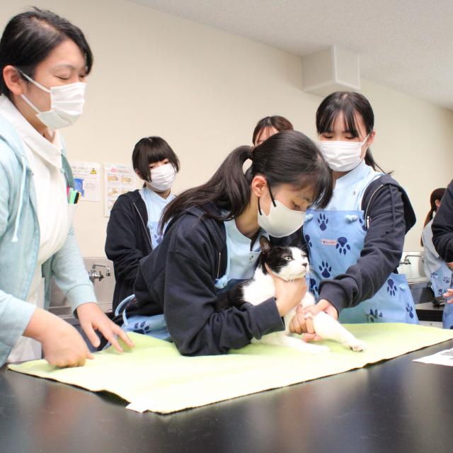 ヤマザキ動物専門学校 X'masオープンキャンパス2