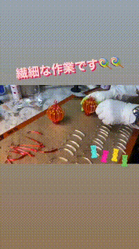 OCカメラサムネイル画像