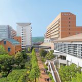 食物栄養学科_in徳島【無料送迎バスを希望しない方】の詳細