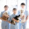 ヤマザキ動物専門学校 専門学校・専門職短期大学　合同説明会