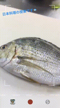 OCカメラサムネイル画像