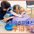 ＴＣＡ東京ＥＣＯ動物海洋専門学校 使役犬訓練を学ぼう！