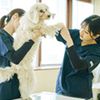 専門学校ビジョナリーアーツ 動物看護学科説明会&お仕事体験
