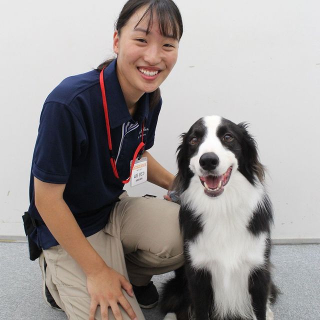 専門学校ちば愛犬動物フラワー学園 動物管理科 スタディサプリ 進路