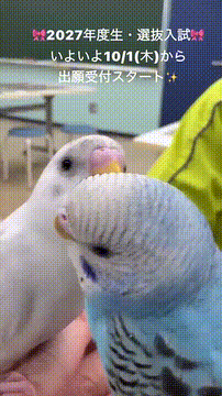 OCカメラサムネイル画像