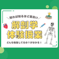 ミニ授業付き！ 学校説明会（解剖学）／東京柔道整復専門学校